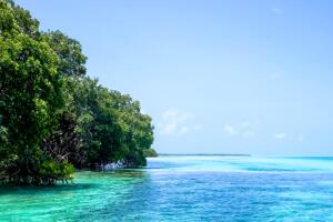 losroques-think.jpg