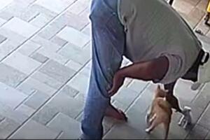 nuevo video lorenzo salgado jugando mascotas antes muriera ice houston texas