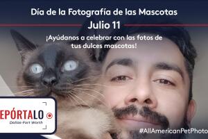 PROMO-pet-DAL (1).jpg