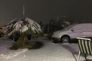 Angeli Vaz hesperia.jpg