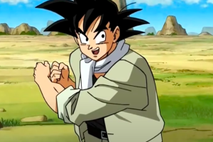 goku_sonriendo.jpg