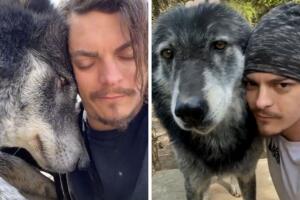 collage_amistad_lobo.jpg