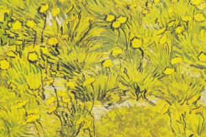 van Gogh colores amarillos