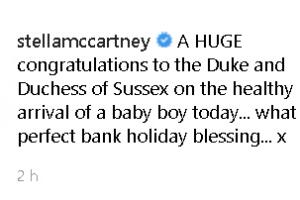 mensaje de stella mccartney