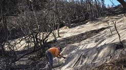 La lluvia aliviará los esfuerzos por apagar los incendios en California, pero crea el riesgo de una ceniza tóxica