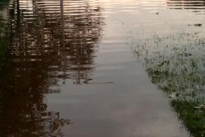 Lluvias en Schaumburg