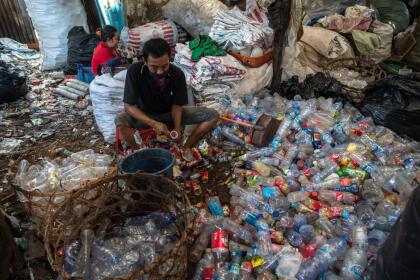 Garbage collectors sort plastic bottles in Surabaya on September 15, 2021. (Photo by Juni Kriswanto / AFP) (Photo by JUNI KRISWANTO/AFP via Getty Images)