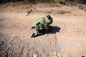 MEXICO-US-VIOLENCE-AVOCADO