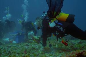 In the heart of the Indian Ocean atolls. Aboard a scientific expedition 4_79350-2x.jpg