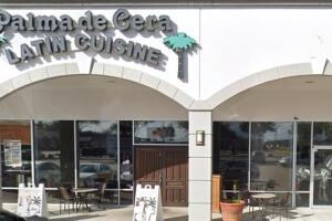 PalmaDeCera.jpg