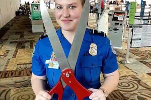 TSA Curiosidades