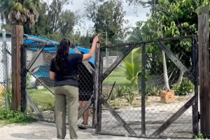Voluntarios distribuyeron información sobre recursos comunitarios y lugares seguros para familias inmigrantes.