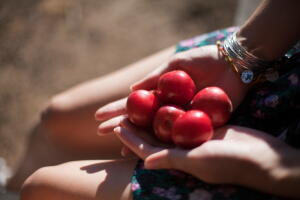 alimentos-indicados-comer-calor-2.jpg