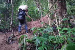 Con más de 10 kilos de equipaje un migrante sube una colina en el Darién