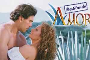 destilando amor.jpg