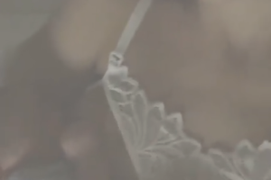 Zuria Vega Alberto Guerra hijo Luka 