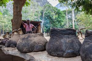 elefante_2.jpg