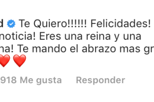 Vadhir derbez.png