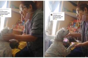 Mujer pide perdón a su perrito por no poder darle lujos.