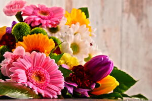 flor-personalidade-relacao.jpg
