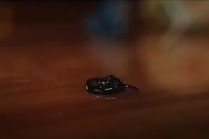 Venom en el MCU .jpg