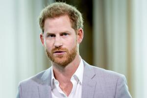 NETHERLANDS-POLITICS-ECONOMY-PRINCE-HARRY