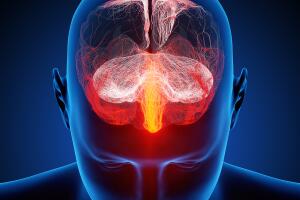 cerebro-cortex-depressao-0619-1400x800.jpg