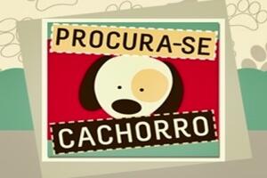 procura-secachorro-reprod.jpg