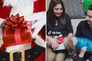 Perrita recibe regalo de Navidad y su reacción conquista a Internet: “ya ni los niños”