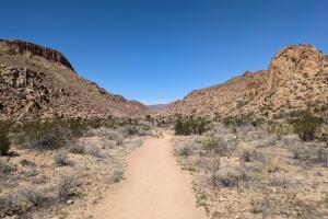 Big Bend National Park mueren hombre hijastro calor extremo Florida Texas