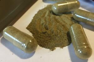 Kratom Deaths