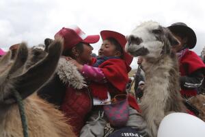 APTOPIX Ecuador Llama Races