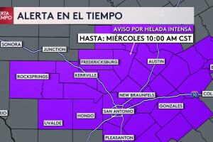 WhatsApp Image 2024-01-14 at 1.03.35 PM.jpeg