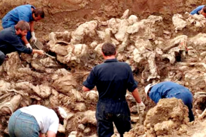 Este fue el primer gran hallazgo de los cuerpos, realizado por la Brigada Nacional en Veracruz
