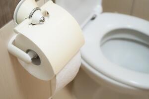 Toilet paper and the toilet interior.