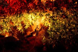 California Wildfires