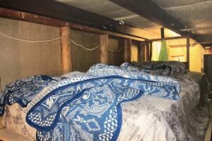 Mexicanos esclavos en el norte de California