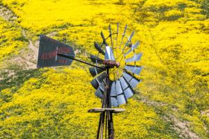 Driving California's Highway 58
