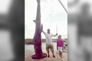 Atrapan un tiburón martillo de más de 1,000 libras en el golfo de México
