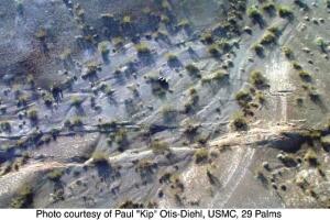 Hector Mine 1999.jpg