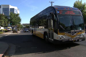 DG SACRT 4.jpg