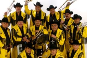 Banda Machos 46658