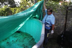 Miami-Dade Mosquito Control Works In Area Where Zika Has Been Found