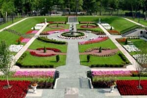 Sitios para ver tulipanes gratis cerca de Chicago durante la primavera 2024