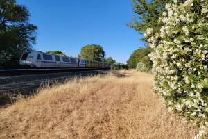 FV0e2SWXoAEyzFm.jfif