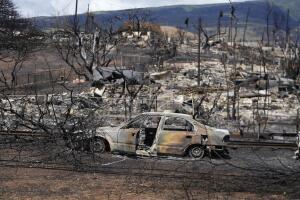 Hawaii Fires