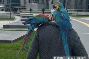 Abogado comparte imagen del hombre, al que supuestamente le fueron infiel, junto a sus loros