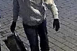 Bombas Capitolio sospechoso