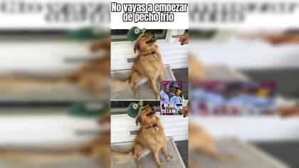 Los Memes Destrozan A Aaron Rodgers Tras Perder El Invicto Frente A Brady Deportes Nfl Tudn Univision