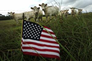 Texas Election Day